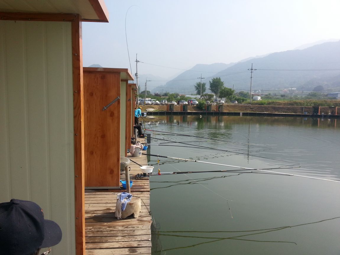 20140615_084815.jpg