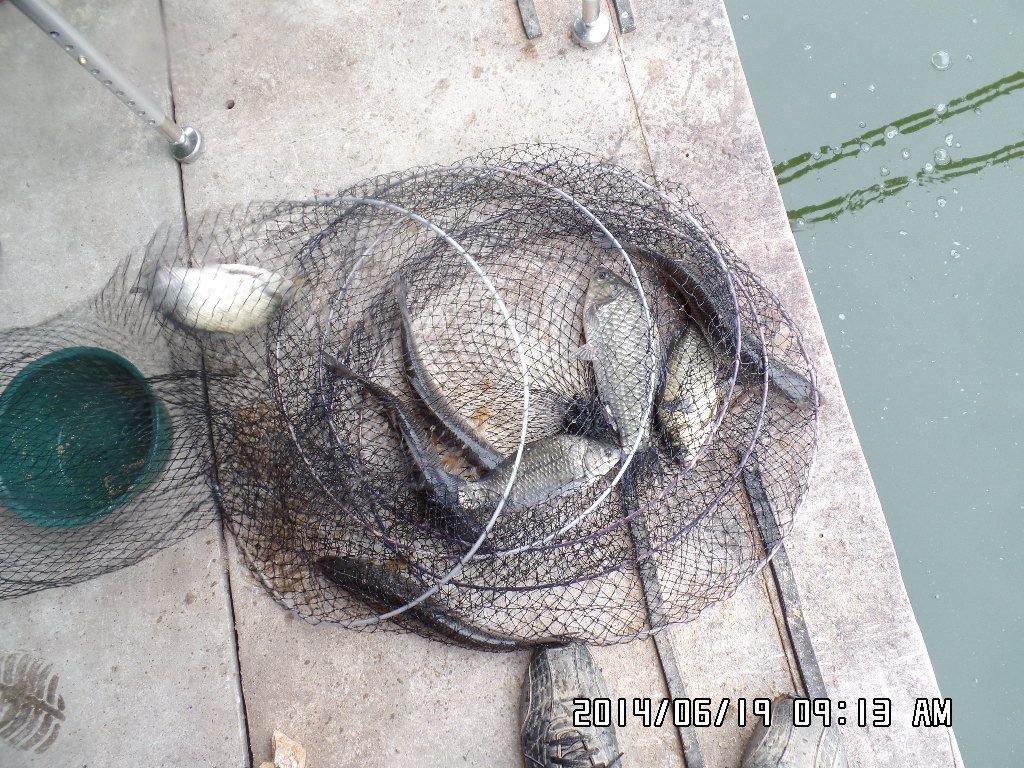 SAM_0257.JPG