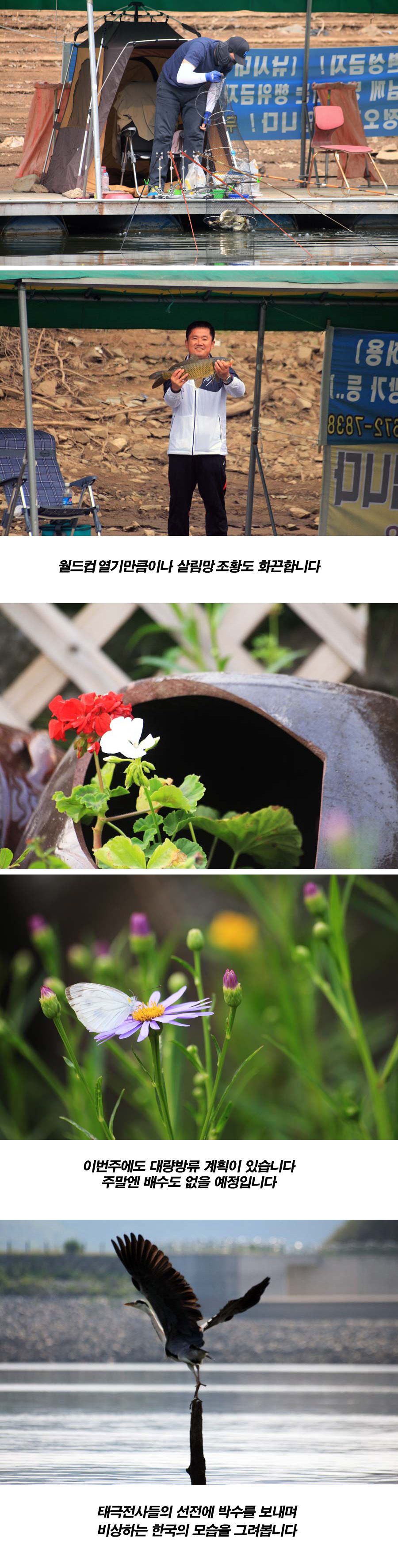 �θ��� 6�� 19�� ��Ȳ���� 1.jpg