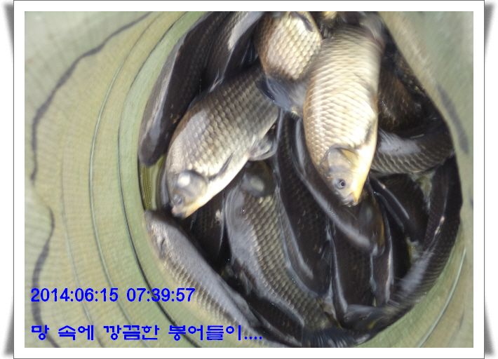 �ٹ̱�_DSC01682.JPG