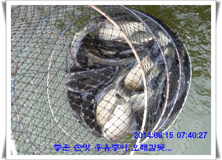 �ٹ̱�_DSC01683.JPG