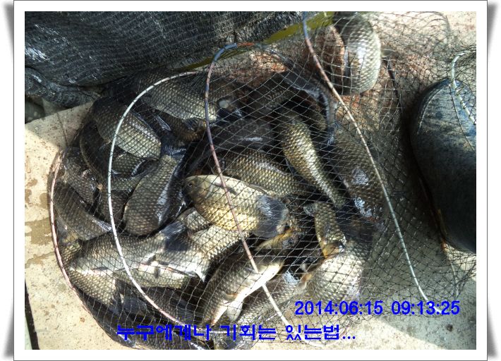 �ٹ̱�_DSC01687.JPG