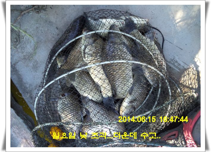 �ٹ̱�_DSC01701.JPG