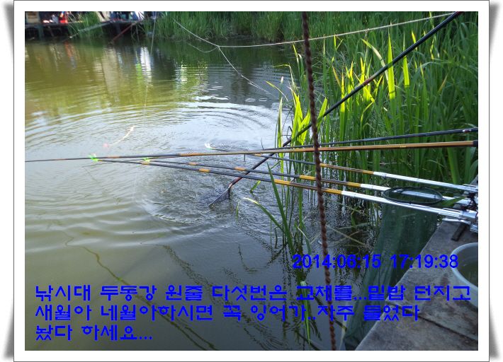 �ٹ̱�_DSC01705.JPG