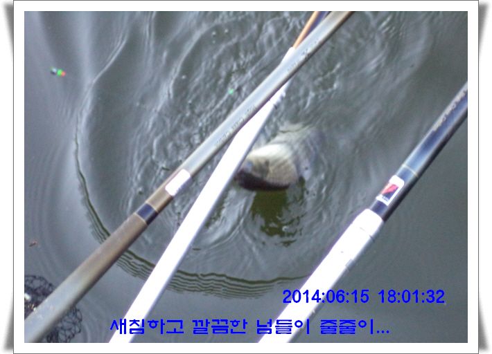 �ٹ̱�_DSC01709.JPG