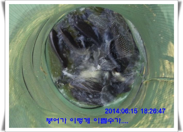 �ٹ̱�_DSC01710.JPG