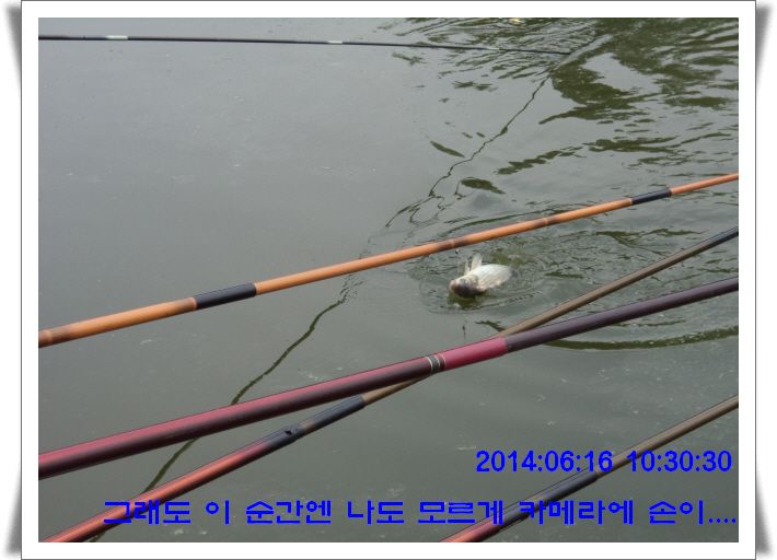 �ٹ̱�_DSC01719.JPG