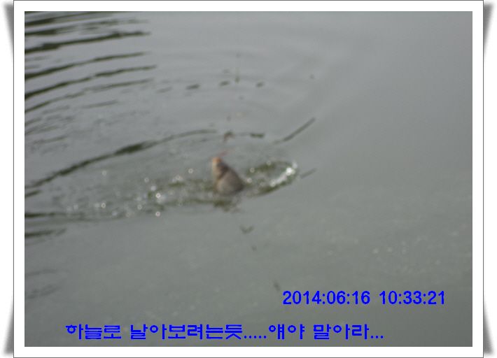 �ٹ̱�_DSC01720.JPG