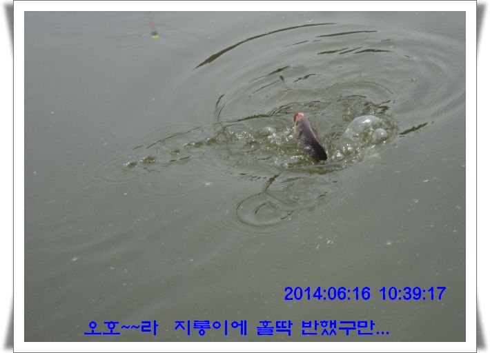 �ٹ̱�_DSC01721.JPG
