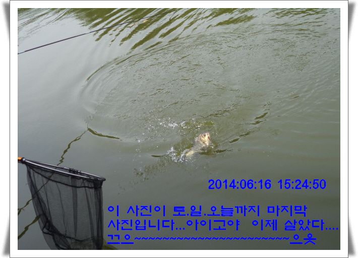 �ٹ̱�_DSC01724.JPG
