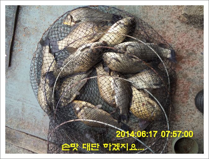�ٹ̱�_DSC01725.JPG
