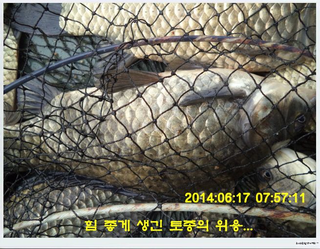 �ٹ̱�_DSC01726.JPG