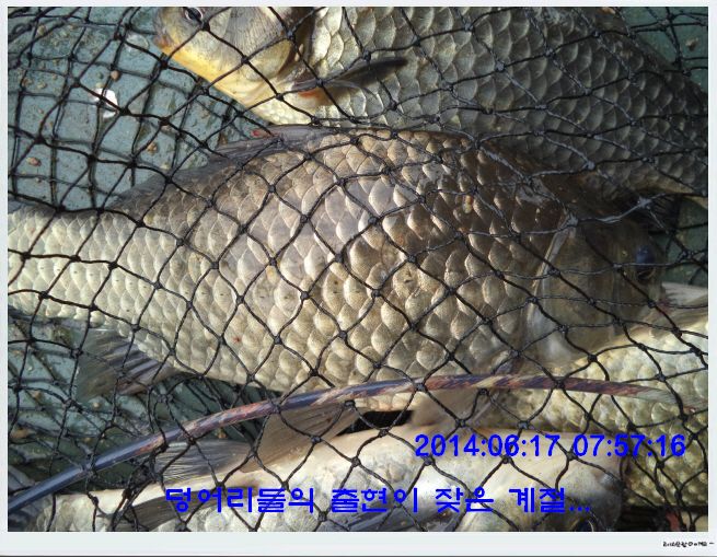 �ٹ̱�_DSC01727.JPG