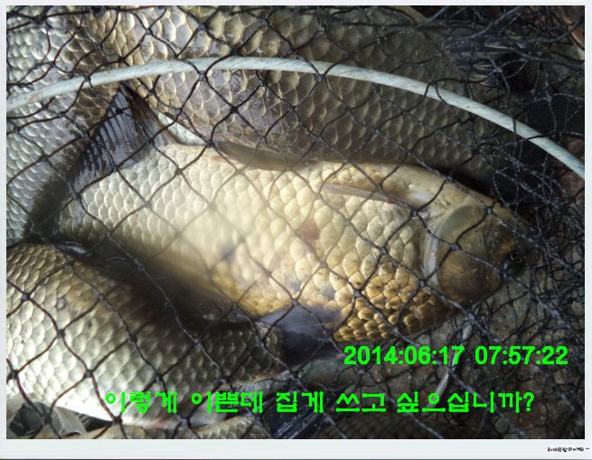 �ٹ̱�_DSC01728.JPG