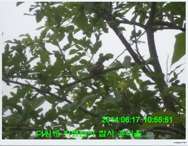 �ٹ̱�_DSC01737.JPG