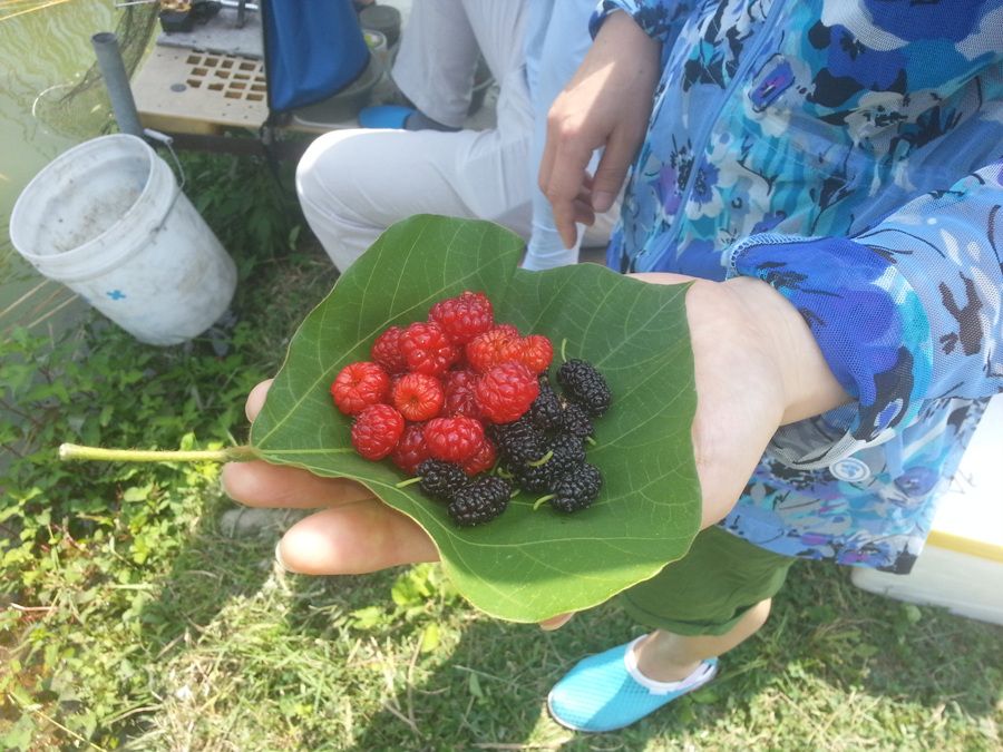 20140614_142618.jpg