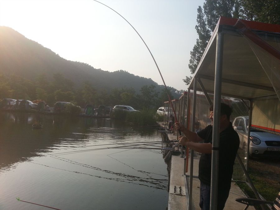20140614_180340.jpg