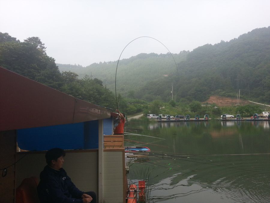 20140615_085109.jpg
