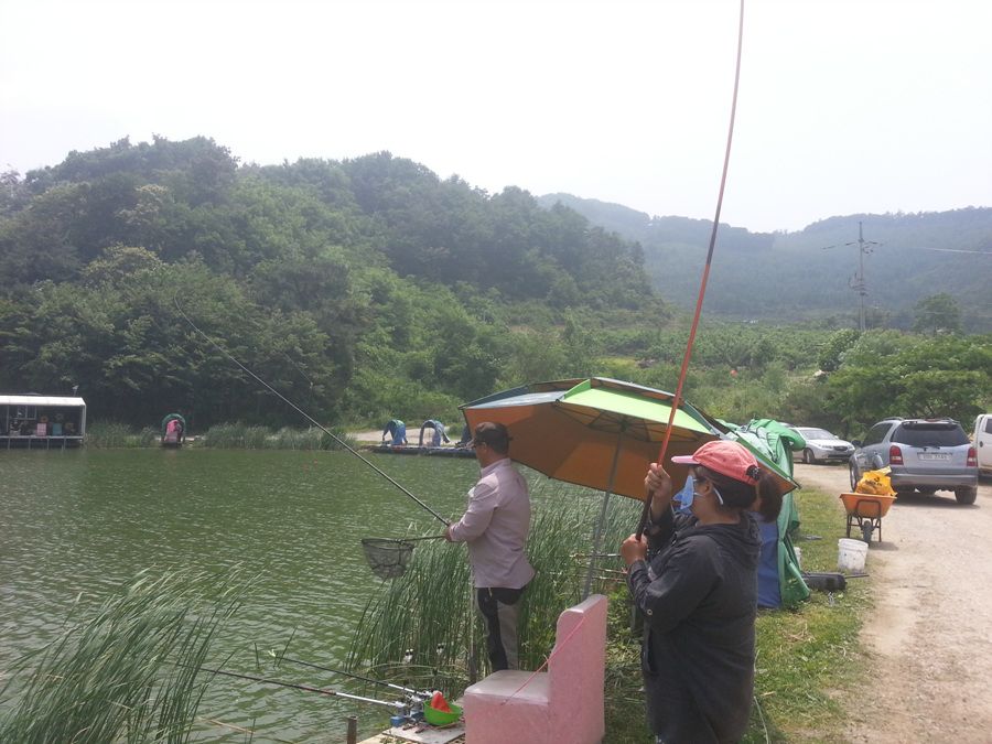 20140615_130328.jpg