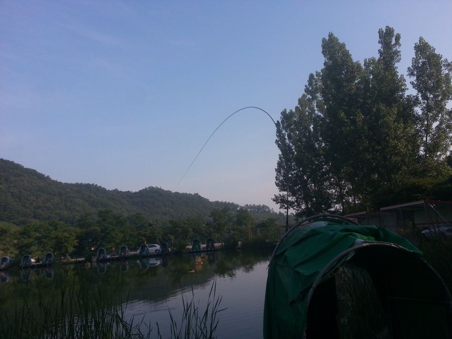 20140616_071305.jpg