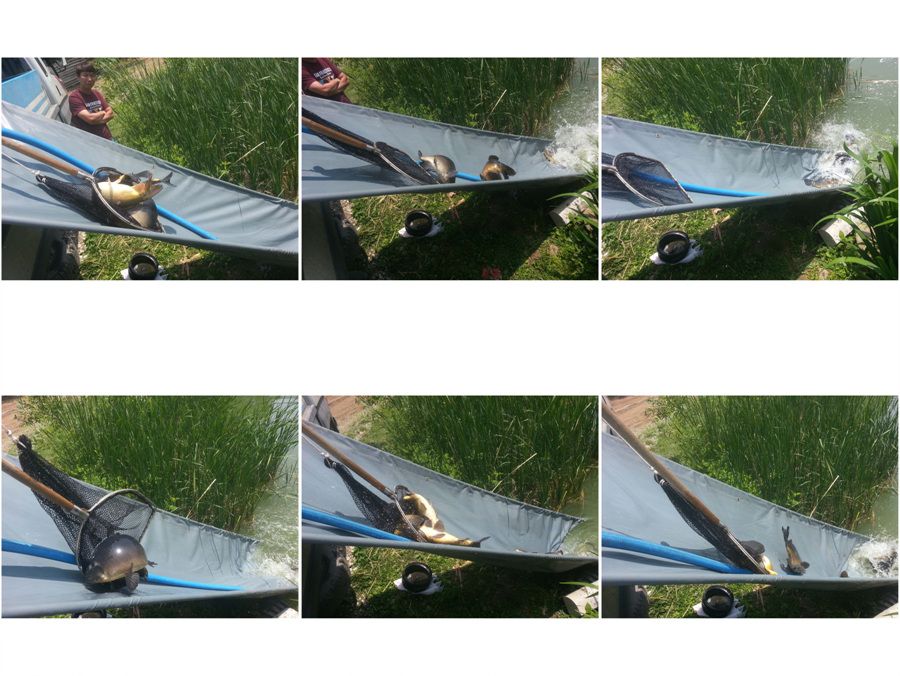 ContactSheet-1 copy.jpg