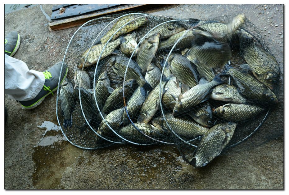 Untitled-1 copy 4.jpg