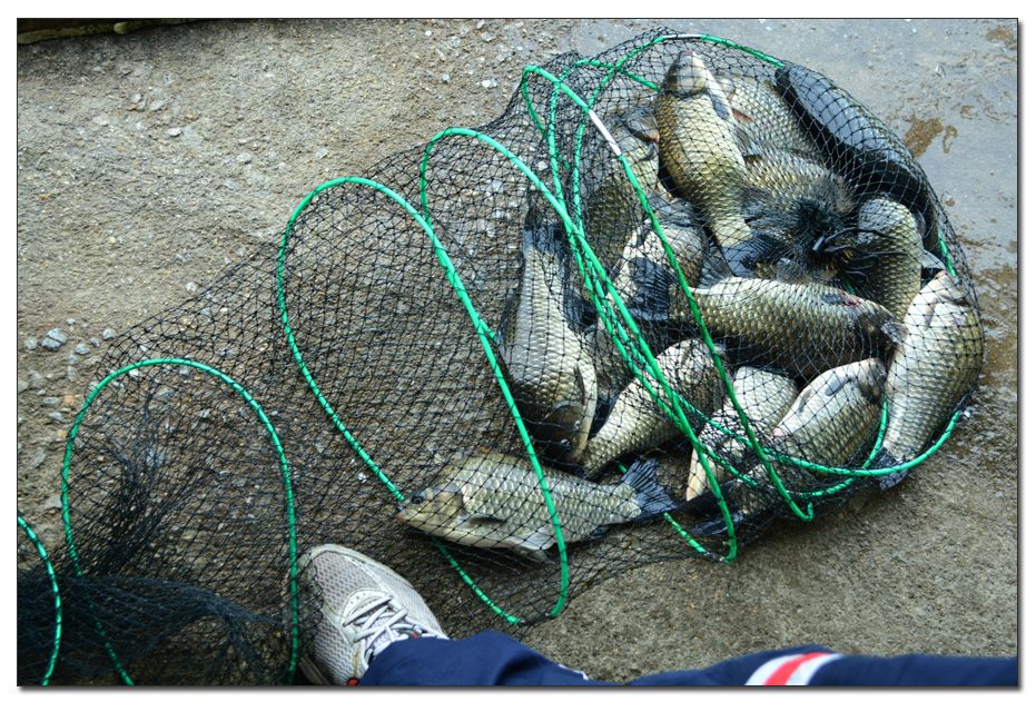 Untitled-1 copy 6.jpg