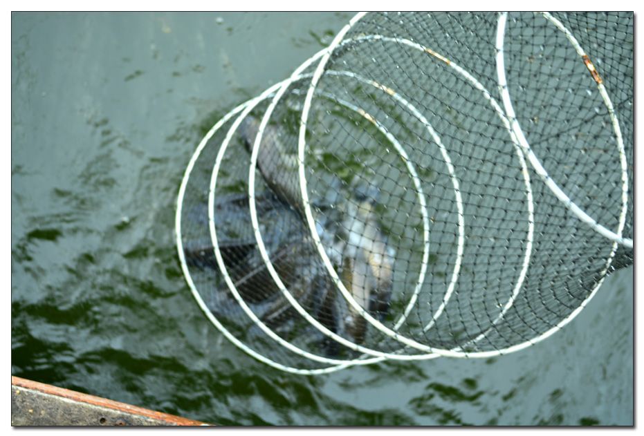 Untitled-1 copy 9.jpg