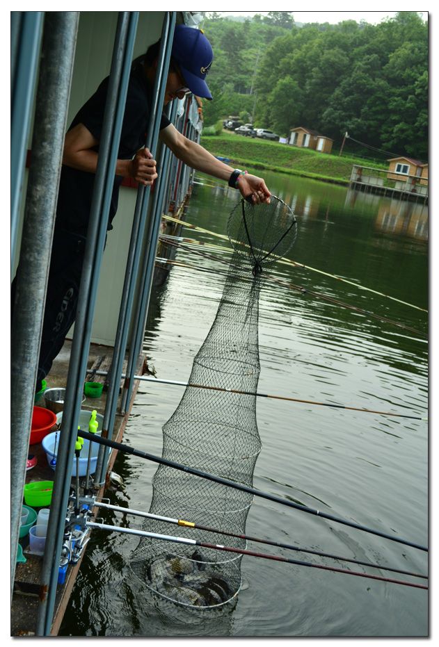 Untitled-1 copy 10.jpg