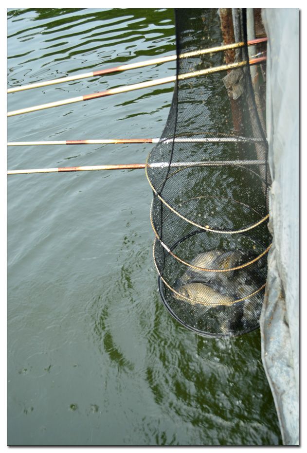 Untitled-1 copy 11.jpg