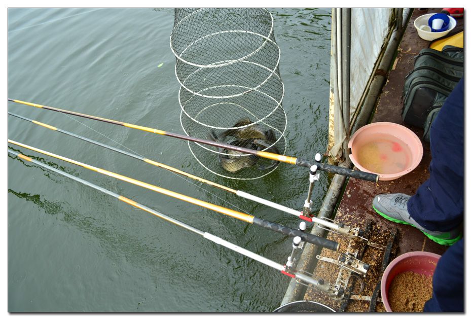 Untitled-1 copy 12.jpg