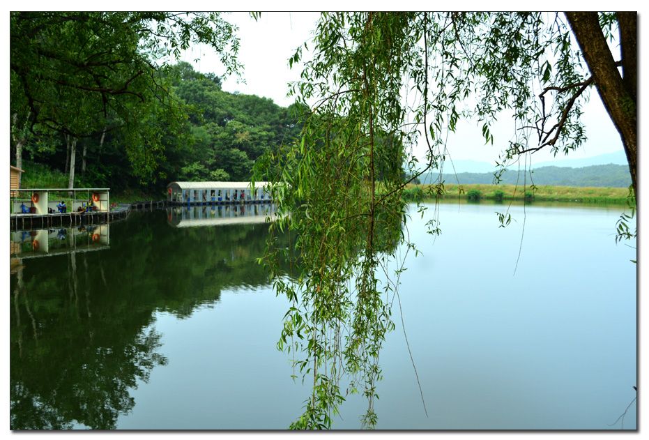 Untitled-1 copy 17.jpg