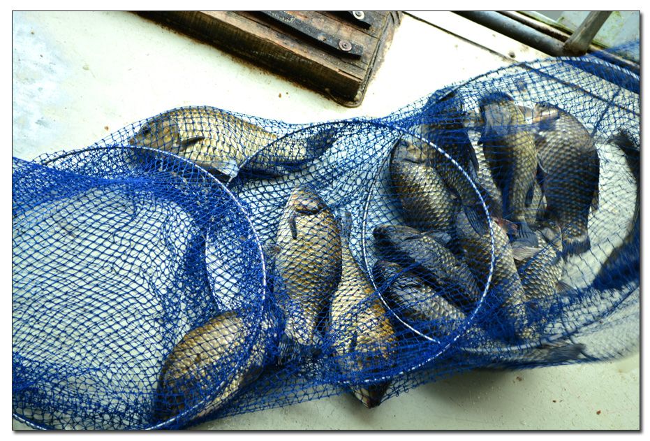 Untitled-1 copy 19.jpg