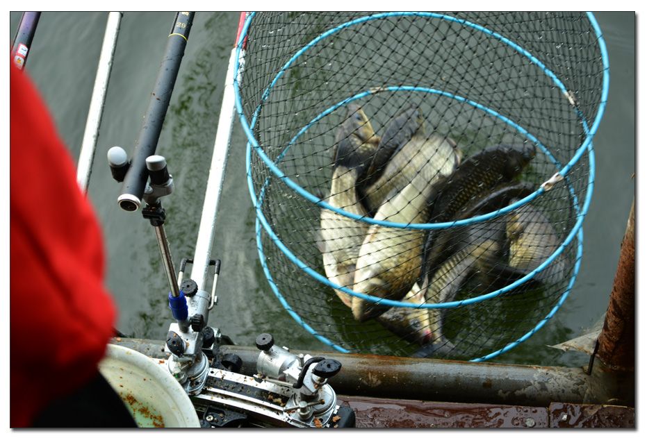 Untitled-1 copy.jpg 1.jpg