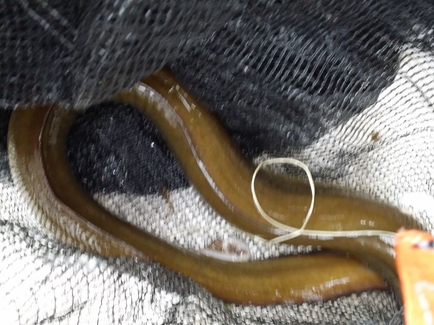 ������ �������� 002.jpg