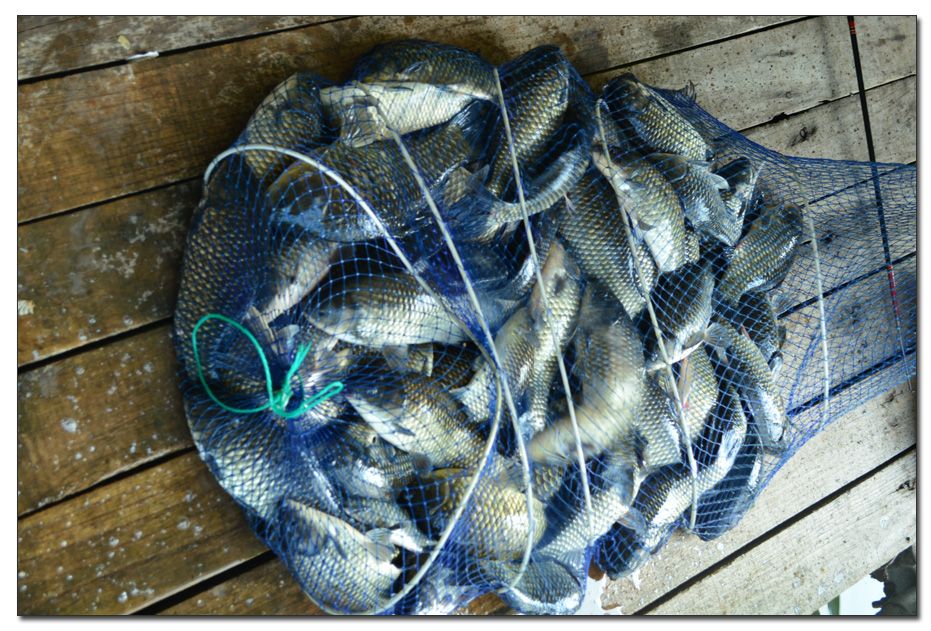 Untitled-1 copy 2.jpg