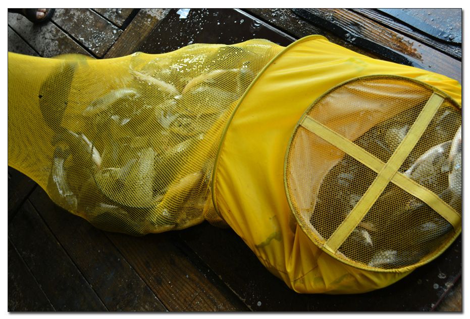 Untitled-1 copy 3.jpg