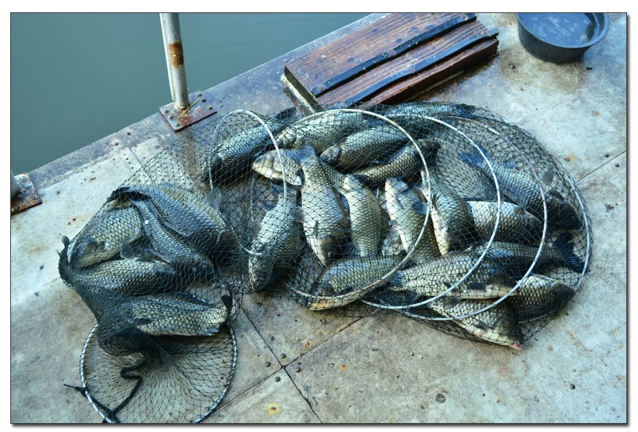 Untitled-1 copy 5.jpg