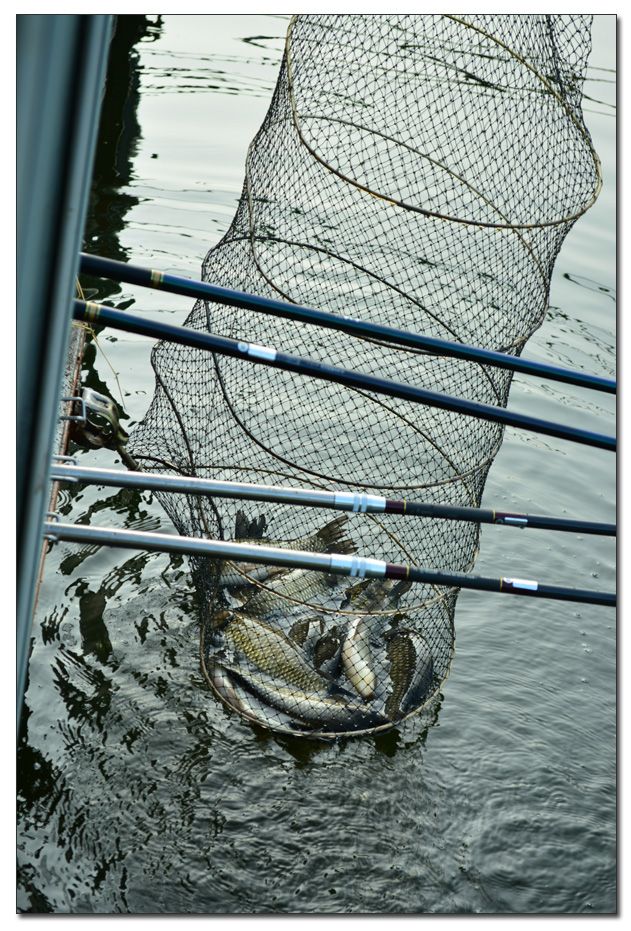 Untitled-1 copy 6.jpg