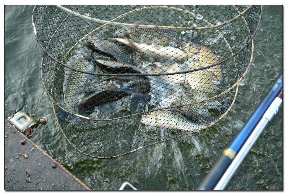 Untitled-1 copy 7.jpg