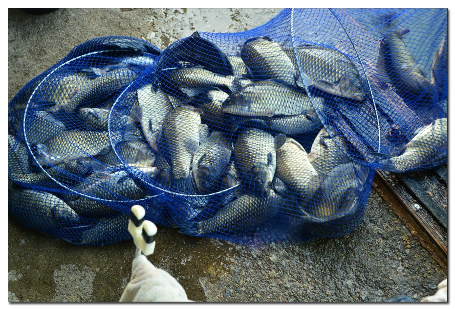 Untitled-1 copy 8.jpg