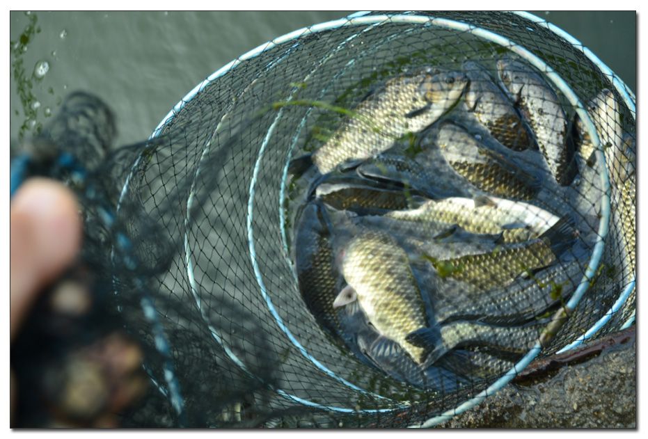 Untitled-1 copy 9.jpg