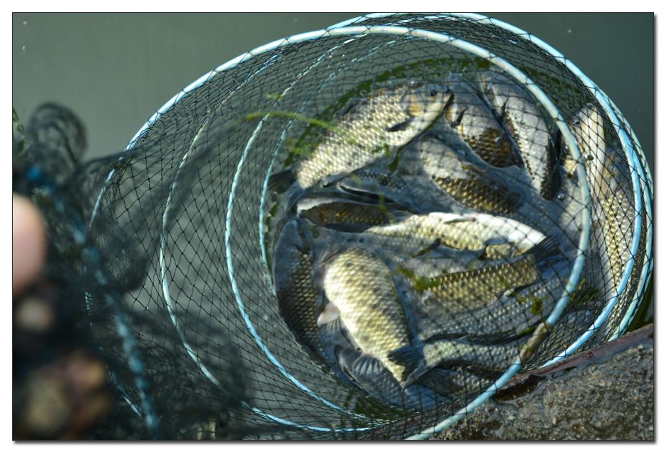 Untitled-1 copy 11.jpg