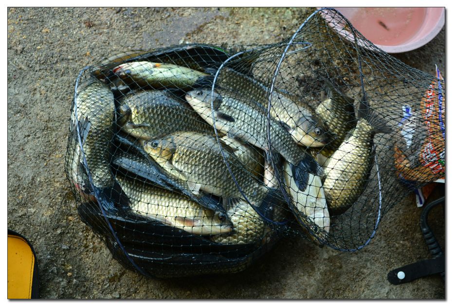 Untitled-1 copy 12.jpg