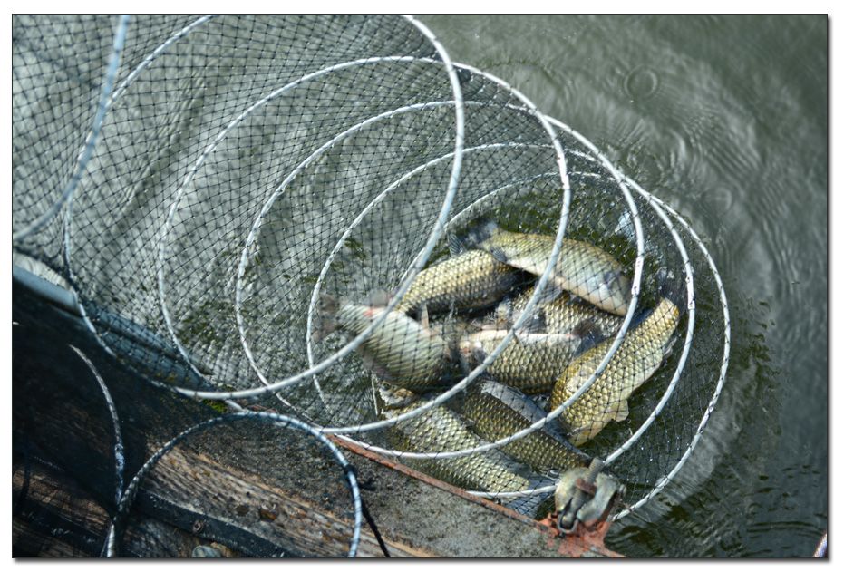 Untitled-1 copy 13.jpg