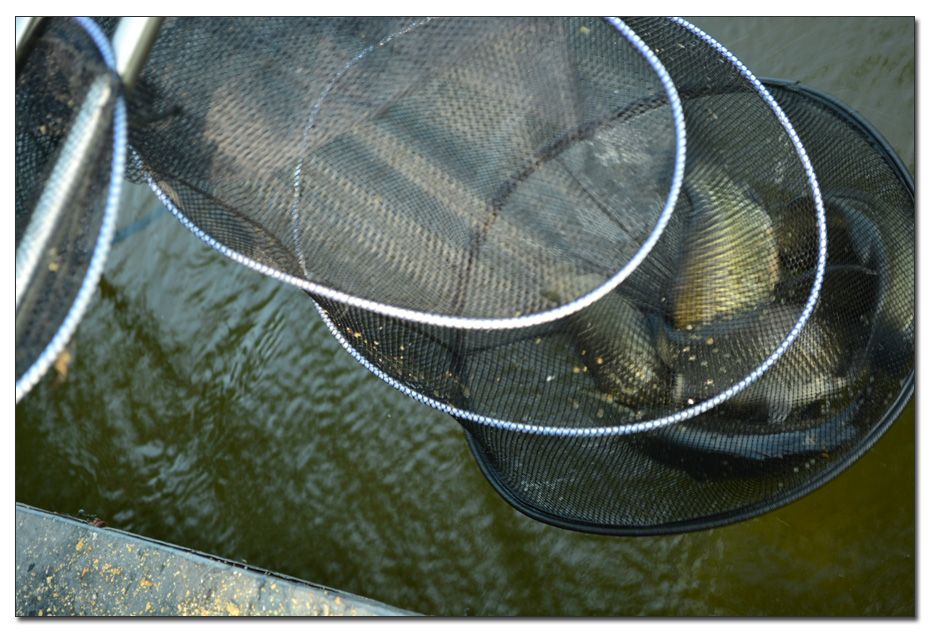 Untitled-1 copy 14.jpg