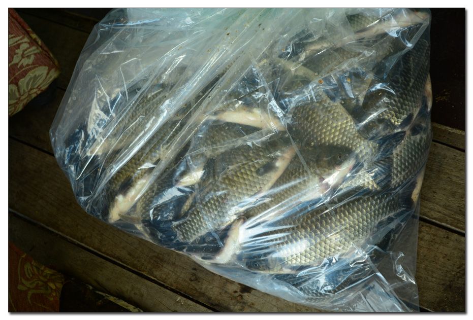 Untitled-2 copy 2.jpg