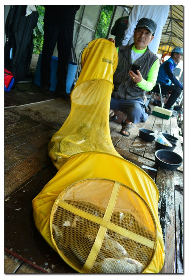 Untitled-2 copy 3.jpg