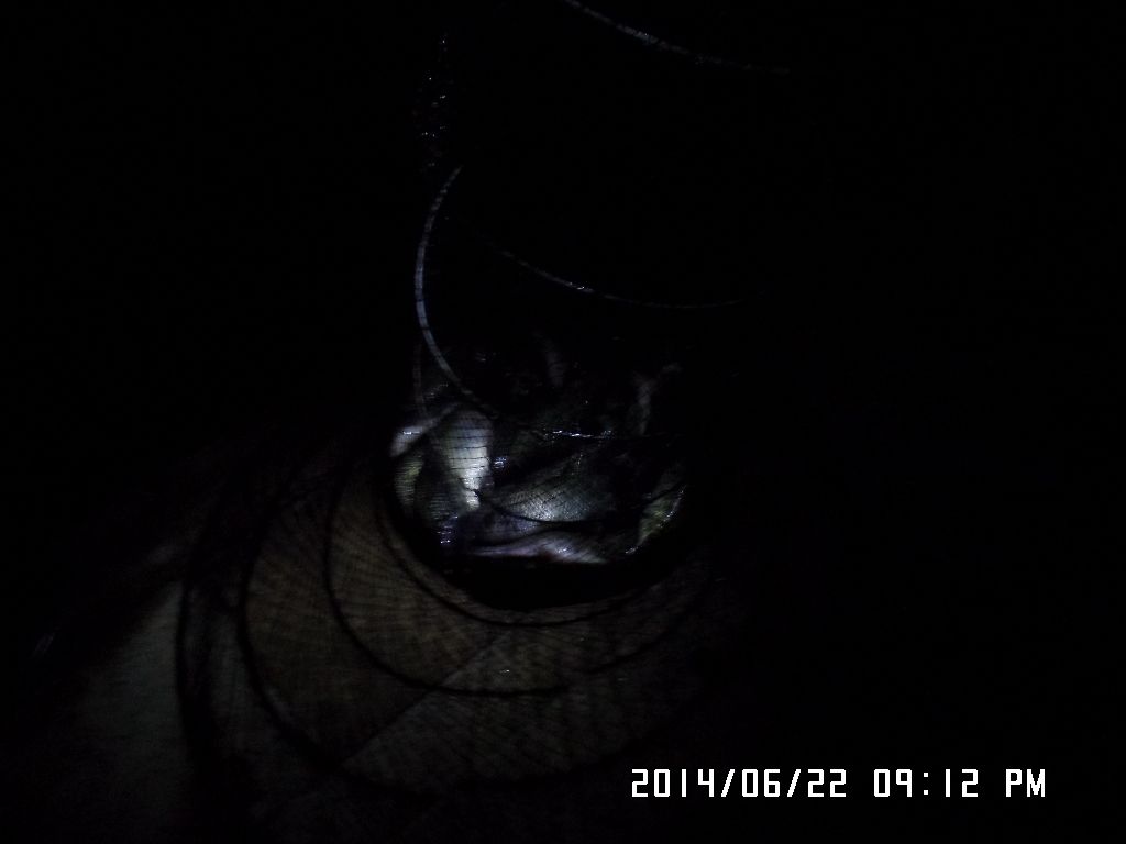 SAM_0380.JPG