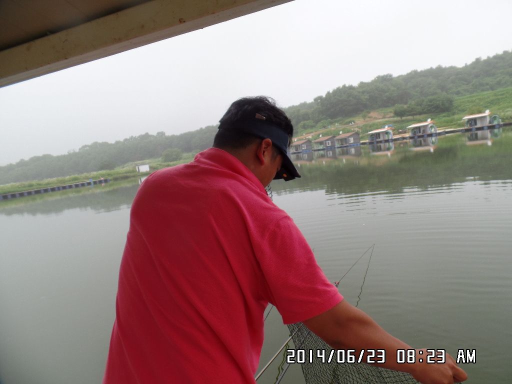 SAM_0394.JPG